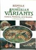 Reptile and Amphibian Variants  Colors, Patterns and Scales