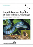 Amphibians and Reptile of the Seribuat Archipelago (Peninsular Malaysia)  A Field Guide