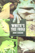 White's Tree Frogs