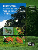 Terrestrial  Breeding Frogs (Strabomantidae) in Peru