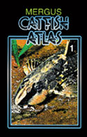 Catfish Atlas. Volume 1