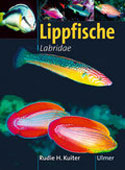 Lippfische. Labridae