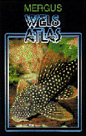Wels Atlas. Band 2