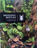 Breeding Beetles – The Substantial Guide