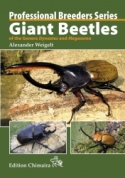 Professional Breeders Series. Giant Beetles of Genera Dynastes and Megasoma