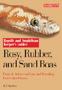 Rosy, Rubber and Sand Boas