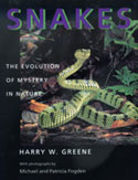 Snakes - The Evolution of Mystery in Nature