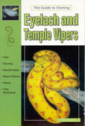 Eyelash and Temple Vipers