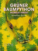 Grüner Baumpython Morelia viridis