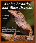 Anoles, Basilisks and Water Dragons