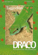 Draco 11 - Taggeckos