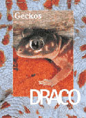 Draco 18 - Geckos