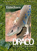 Draco 21 - Eidechsen