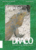 Draco 4 - Leguane