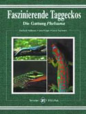 Faszinierende Taggeckos – Die Gattung Phelsuma