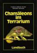 Chamäleons im Terrarium