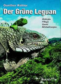 Der Grüne Leguan – Biologie. Pflege. Zucht. Erkrankungen.