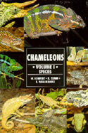 Chameleons. Volume 1. Species