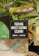 Feeding Insect-eating Lizards