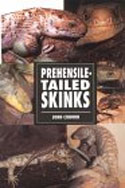 Prehensile- tailed Skinks