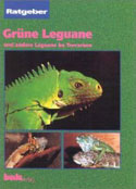Grüne Leguane und andere Leguane im Terrarium