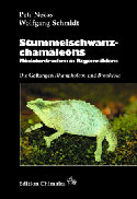Stummelschwanzchamäleons. Miniaturdrachen in Regenwäldern. Die Gattungen Rhampholeon and Brookesia.