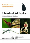 Lizards of Sri Lanka. A Colour Guide with Field Keys