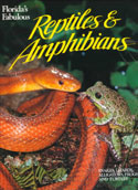 Florida´s Fabulous Reptiles and Ampbibians