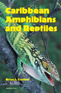 Caribbean Ampbibians and Reptiles