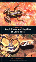 A Guide to Amphibians and Reptiles of Costa Rica