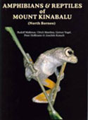 Amphibians and Reptiles of Mount Kinabalu (North Borneo)