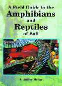 A Field Guide to the Amphibians and Reptiles of Bali