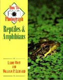How to Photograph Reptiles and Amphibians