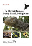The Herpetofauna of Panay Island, Philippines