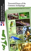 Terrestrial Fauna of the Comoros