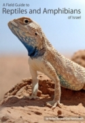 A Field Guide to Reptiles and Amphibians of Israel