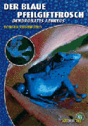 Der Blaue Pfeilgiftfrosch Dendrobates azureus