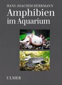 Amphibien in Aquarium