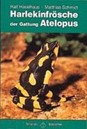 Harlequin Frogs. A Complete Guide