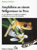 Amphibien an einem Stillgewässer in Peru