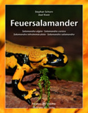 Feuersalamander. Salamandra algira, S. corsica, S. infraimmaculata, S. salamandra