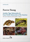 Forever Young - Volume 1
