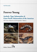 Forever Young - Volume 2 