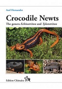 Crocodile Newts