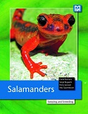 Salamanders - breeding and keeping
