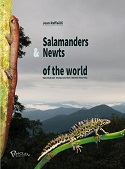 Salamanders and Newts of the World
