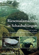 <b>Riesensalamander