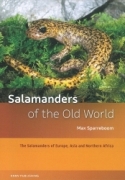Salamanders of the Old World