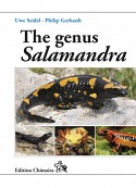 The Genus Salamandra