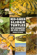 Red-Eared Slider Turtles With Information on Other Sliders